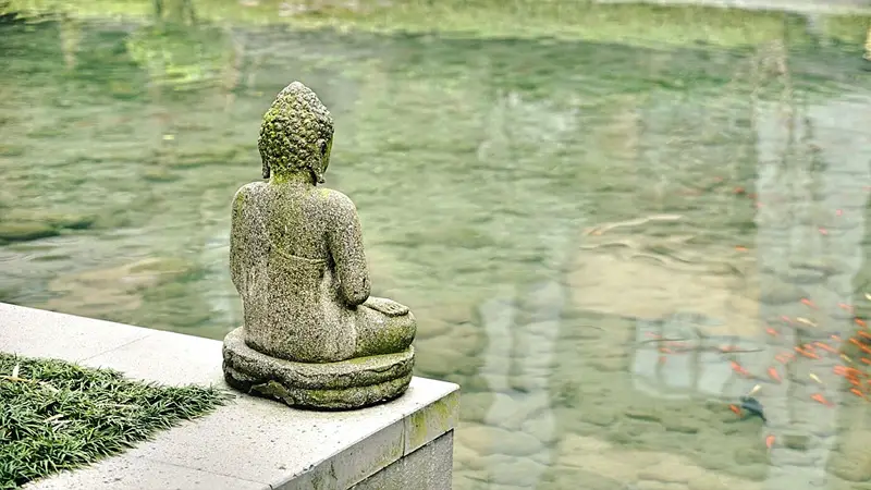 Vipassana vs Zen: What Is the Difference? 